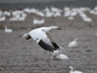 WordPress’i İlk Defa Kullananlar İçin Adım Adım Kurulum ve Temel Ayarlar Rehberi