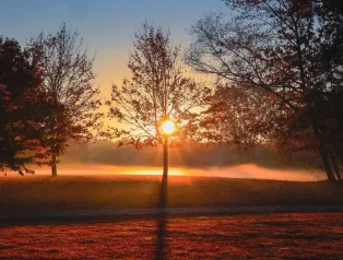 Hayatınızı Daha Pozitif Hale Getirecek İlham Verici Alıntılar ve Bunların Anlamları