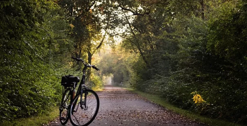 Popüler Kültür Trendleri ve İnsanların Sosyal Medyada En Çok Konuştukları Akımlar
