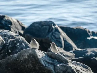 Sosyal Medyada Daha Az Zaman Harcayarak Daha Verimli Bir Gün Geçirmenin Yolları